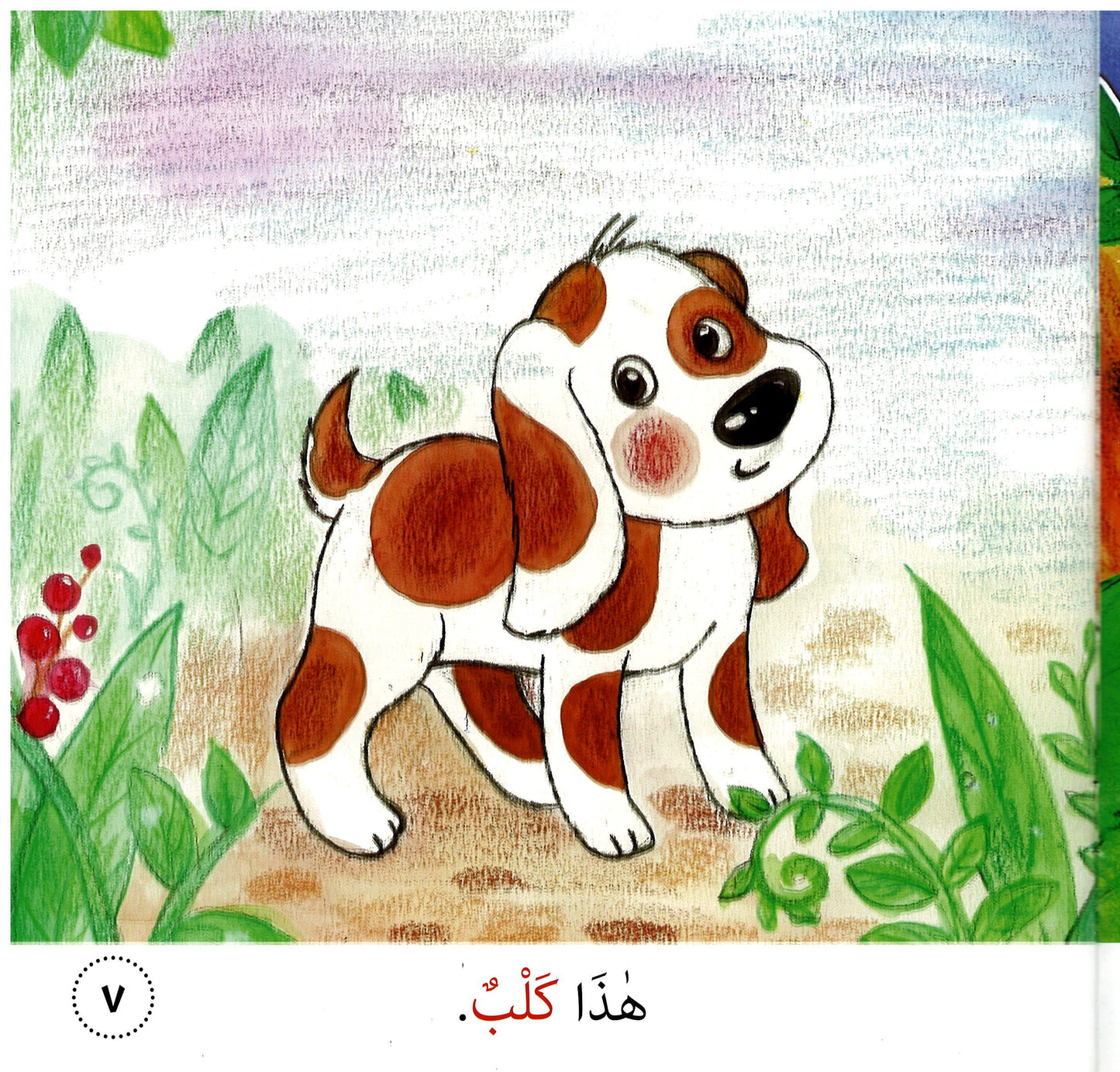 Arabic Storybook - Siri Bacaan Awal